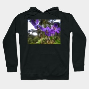 Fragrance Violet Hoodie